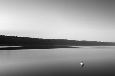10_2014_03_14_bw_620.jpg