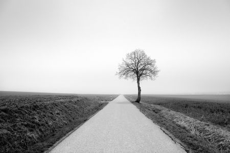 2020_11_abbach_bw_432.jpg