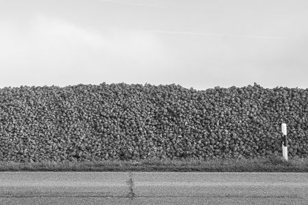 2020_11_abbach_bw_487.jpg