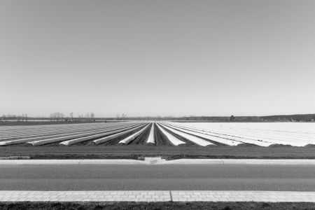 2022_03_28_bw_156_v2.jpg