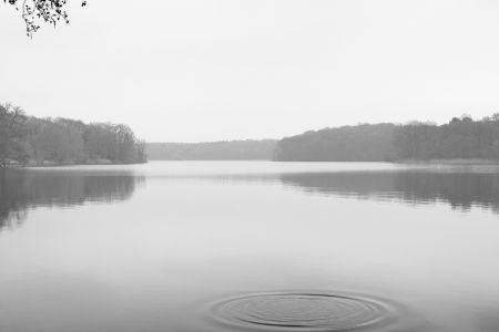 7_2018_04_16_bw_752.jpg