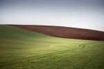 fields_1.jpg