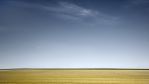 fields_10.jpg