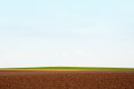fields_12.jpg