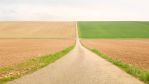 fields_2_11.jpg