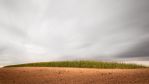 fields_2_2.jpg