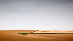 fields_2.jpg