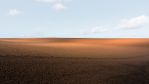 fields_2_5.jpg