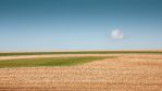 fields_2_6.jpg