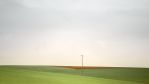 fields_2_8.jpg