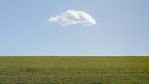 fields_2_9.jpg