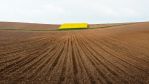 fields_3_1.jpg