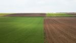 fields_3_2.jpg