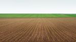 fields_3_3.jpg