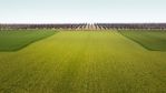 fields_3_4.jpg