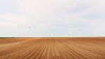 fields_3_6.jpg