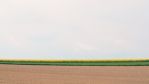 fields_3_8.jpg