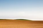 fields_4.jpg