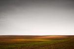 fields_5.jpg