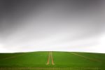 fields_6.jpg