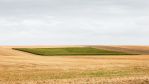 fields_9.jpg