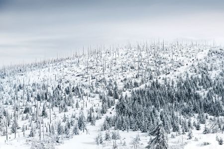 Landscape_10.jpg