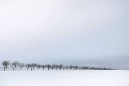 Landscape_11.jpg