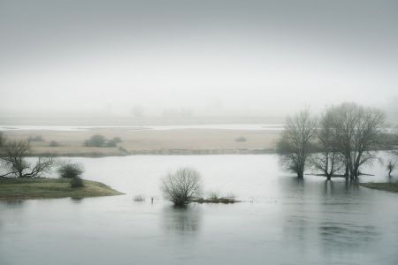 Landscape_12.jpg