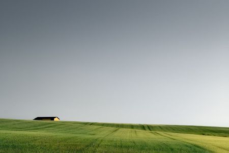 Landscape_2.jpg