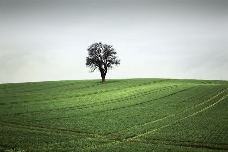 Landscape_3.jpg