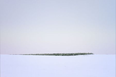 Landscape_4.jpg