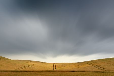 Landscape_5.jpg