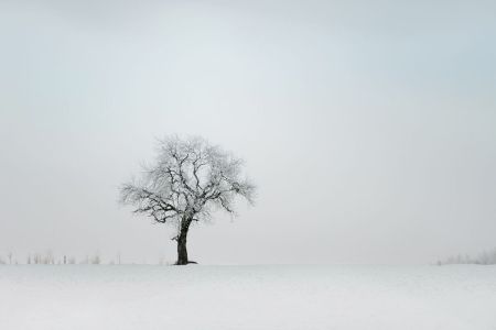 Landscape_6.jpg