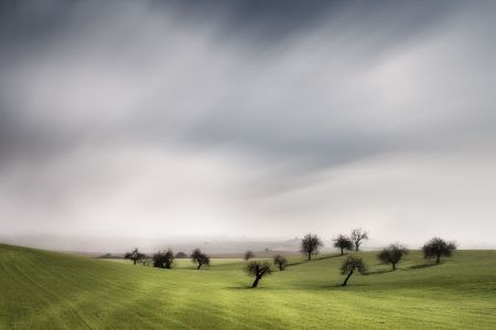 Landscape_7.jpg