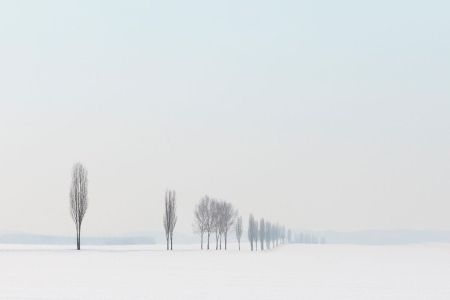 Landscape_8.jpg