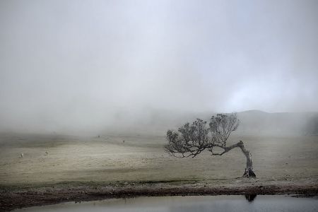 Landscape_9.jpg